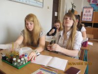 Урок химии - 9 класс - февраль 2010