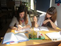 Урок химии - 9 класс - февраль 2010